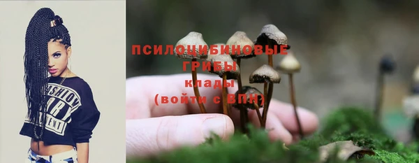 мдпв Баксан