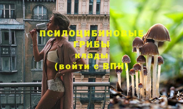 мдпв Баксан