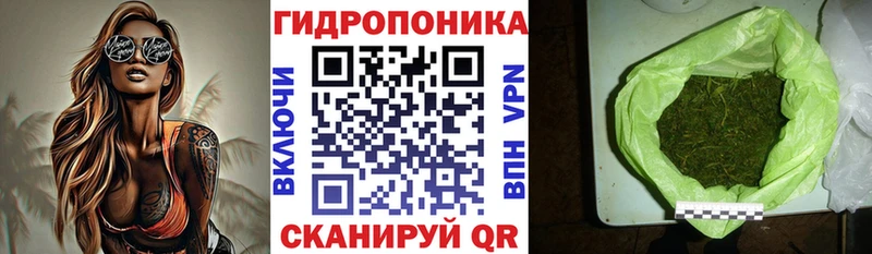 Канабис марихуана  Курчалой 